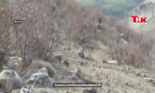 PKK’nın İnine Girildi, Cephaneliği Ele Geçirildi