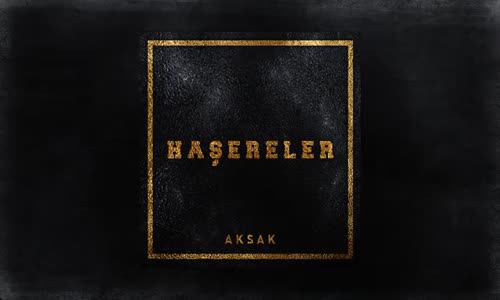 Aksak - Haşereler 