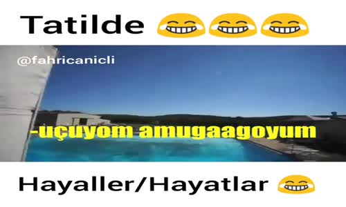 Tatilde Hayaller Hayatlar