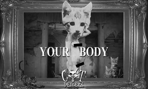  Cat Dealers - Your Body Remix