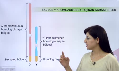 EBA BİYOLOJİ LİSE - KALITIMIN GENEL İLKELERİ - EŞEYE BAĞLI KATILIM I - SADECE Y VE HEM X HEM Y KROMOZOMU ÜZERİNDE TAŞINAN KARAKTERLER