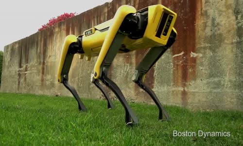  Sevimli Robot Köpek