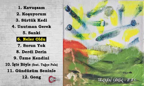 Tarkan Çakır - Neler Oldu