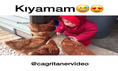 Tavukları Besleyen Bebek 