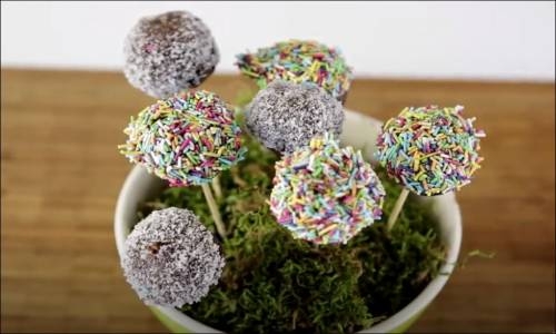 Cake Pops Nasıl Yapılır 