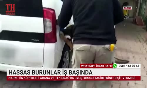 HASSAS BURUNLAR İŞ BAŞINDA