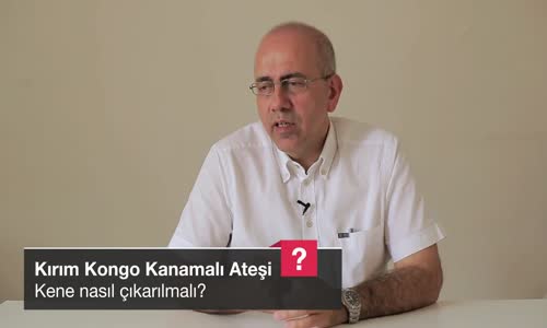 Kene Nasıl Çıkarılmalı