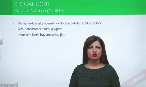 EBA BİYOLOJİ LİSE - DESTEK VE HAREKET SİSTEMİ; KIKIRDAK DOKU VE KAS DOKU - KIKIRDAK DOKU VE ÇEŞİTLERİ