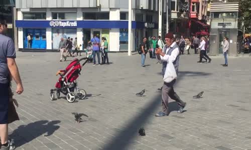 Güvercinleri Kullanarak Fotoğraf Çeken Amca