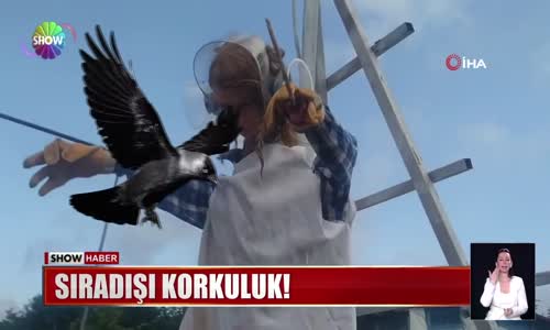 Sıradışı korkuluk!