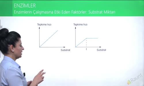 EBA BİYOLOJİ LİSE - CANLILARIN YAPISINDA BULUNAN TEMEL BİLEŞİKLER - ENZİMLER - ENZİMLERİN ÇALIŞMASINA ETKİ EDEN SUBSTRAT VE ENZİM MİKTARI SUBSTRAT YÜZEYİ