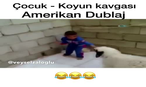 Çocuk ve Koyun Kavgası - Amerikan Dublaj