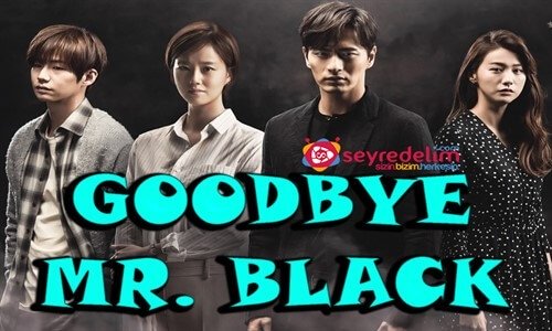 Goodbye Mr. Black 3. Bölüm İzle