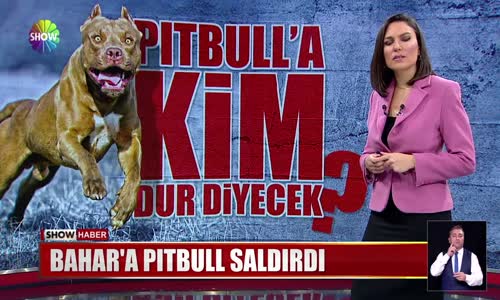 Bahar'a pitbull saldırdı 