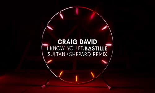 Craig David - I Know You Sultan Shepard Remix Ft. Bastille 