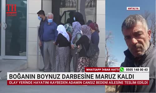 BOĞANIN BOYNUZ DARBESİNE MARUZ KALDI