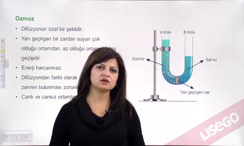 EBA BİYOLOJİ LİSE - CANLILARIN TEMEL BİRİMİ HÜCRE - HÜCRE ZARINDA MADDE ALIŞVERİŞİ DİFÜZYON VE OZMOZ - DİĞER PASİF TAŞIMA OLAYLARI , OZMOZ VE KOLAYLAŞTIRILMIŞ DİFÜZYON