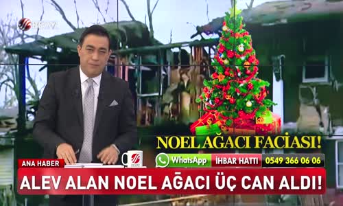 NOEL AĞACI 3 CAN ALDI