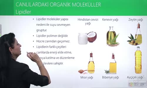 EBA BİYOLOJİ LİSE - CANLILARIN YAPISINDA BULUNAN TEMEL BİLEŞİKLER - ORGANİK MOLEKÜLLERİNİN GENEL ÖZELLİKLERİ - CANLILARDA ORGANİK MOLEKÜLLER II