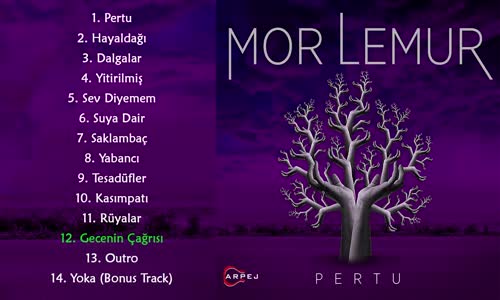 Mor Lemur - Gecenin Çağrısı