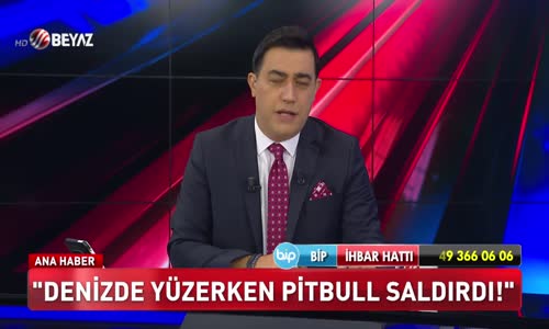 'Denizde yüzürken pitbull saldırdı!'