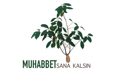 Muhabbet - Sana Kalsın 