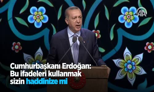 Cumhurbaşkanı Erdoğan: Bu İfadeleri Kullanmak Sizin Haddinize Mi