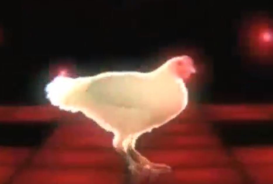 Chicken Song  Geco Remix 