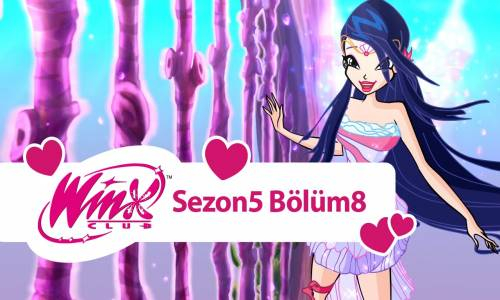 Winx Club - 5. Sezon 8. Bölüm - Yakut Kayalığın Sırrı