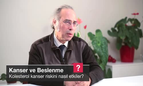 Kolesterol Kanser Riskini Nasıl Etkiler