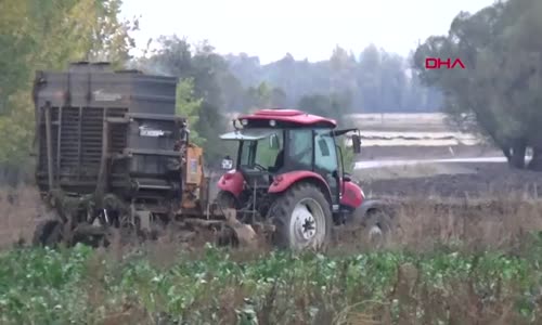 Tokat'ta 800 bin ton şeker pancarı üretimi yapıldı