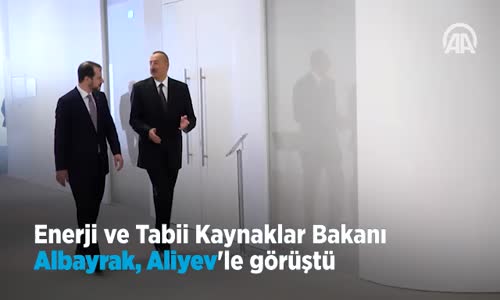 Enerji ve Tabii Kaynaklar Bakanı Albayrak  Aliyev'le Görüştü