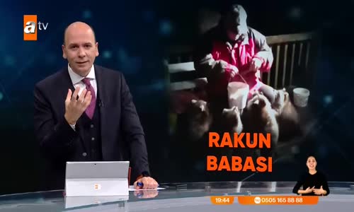 Bunlar da evcil rakunlar! Bahçesinde onlarcasını besliyor! 