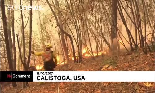 California'da Yangınlar En Az 31 Can Aldı 