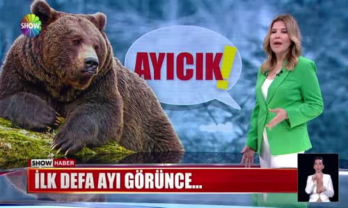 İlk defa ayı görünce...