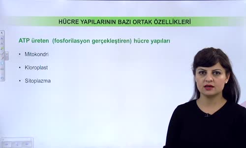 EBA BİYOLOJİ LİSE - CANLILARIN TEMEL BİRİMİ HÜCRE - HÜCRESEL YAPILARIN ÖZELLİKLERİ VE HÜCRELERİN KARŞILAŞTIRILMASI - HÜCRE YAPILARININ BAZI ORTAK ÖZELLİKLERİ