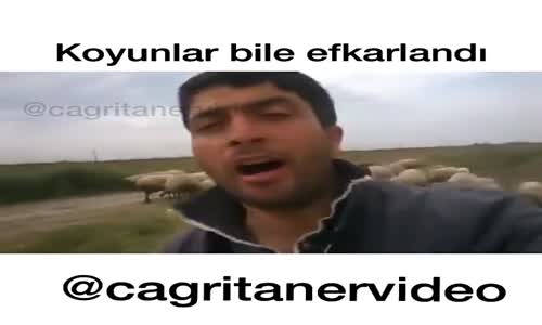 Çobandan Muhteşem Bir Ses