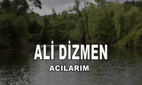 Ali Dizmen- Acılarım