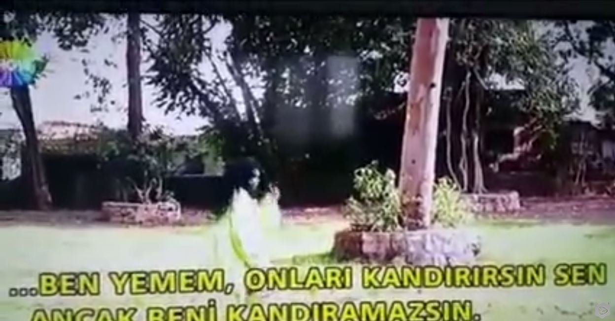 Hindistan'da Bülent Ersoy'u Yılanın Isırdığı Görüntüler