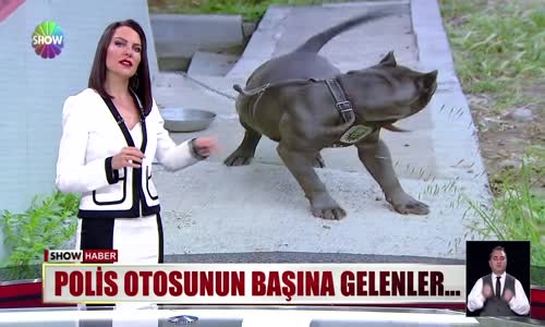 Polis otosunun başına gelenler...