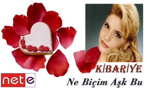 Kibariye - Ne Biçim Aşk Bu