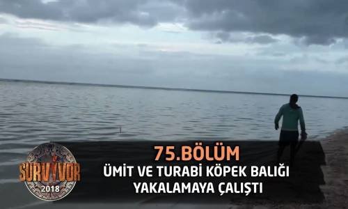 Ümit Ve Turabi Köpek Balığı Yakalamaya Çalıştı - 75. Bölüm - Survivor 2018