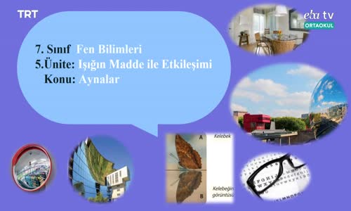 7. Sınıf Fen Bilimleri 1.Bölüm İzle