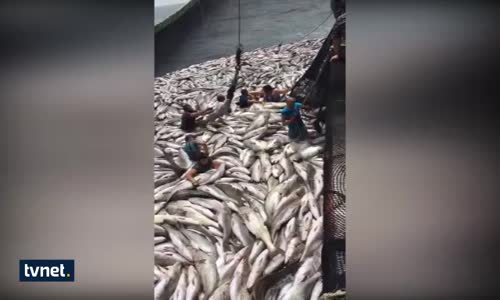 Türk Denizciler Okyanusu Kuruttu!