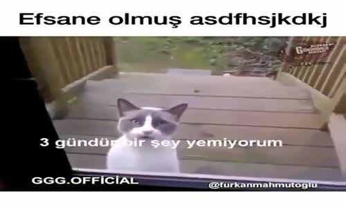 Efsane Olmuş