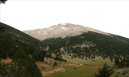 Bülent Serttaş Öptüm Şekerlendide Yar