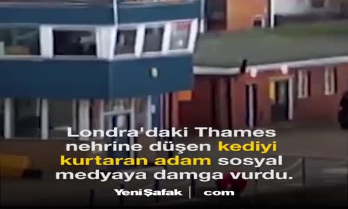 Nehre Düşen Kediyi Böyle Kurtardı