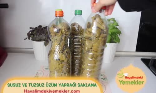 Tuzsuz ve Susuz Üzüm Yaprağı Nasıl Saklanır 