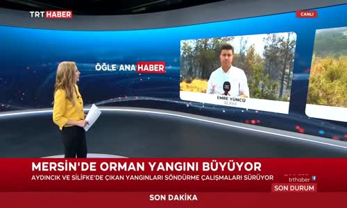 Mersin Silifke'de Orman Yangını Devam Ediyor