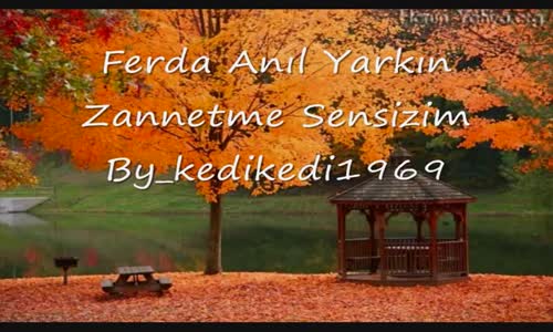 Ferda Anıl Yarkın Zannetme Sensizim 